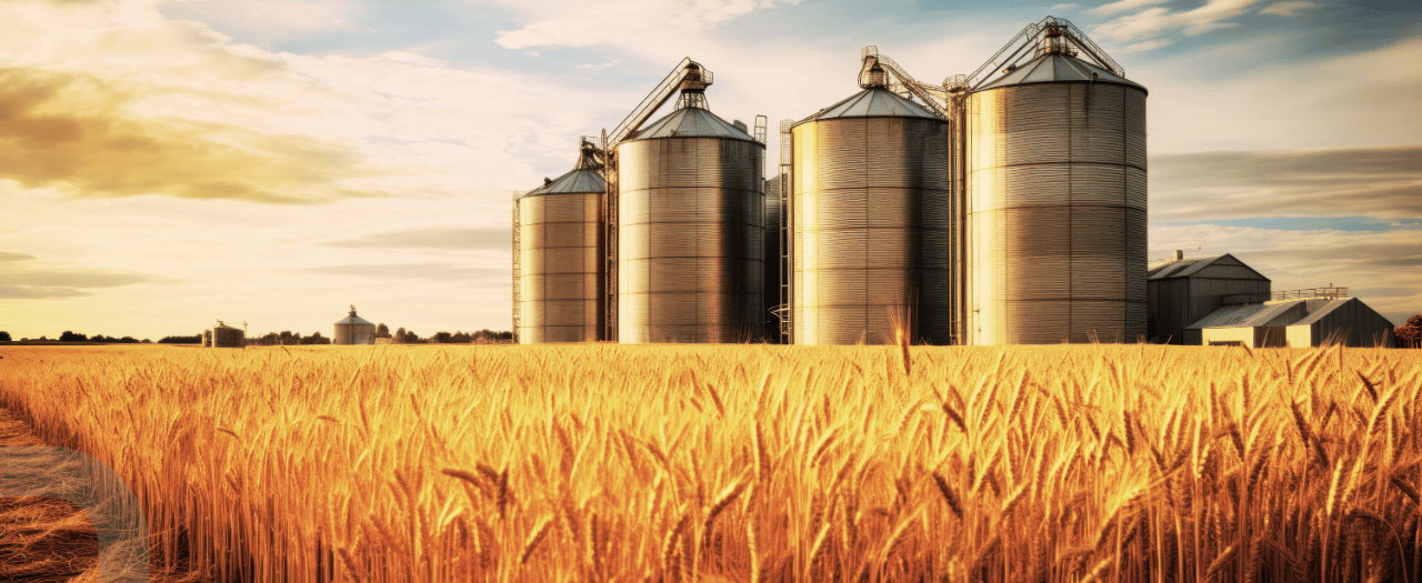 Javelot Grain Storage modernisation