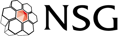 NSG Environmental
